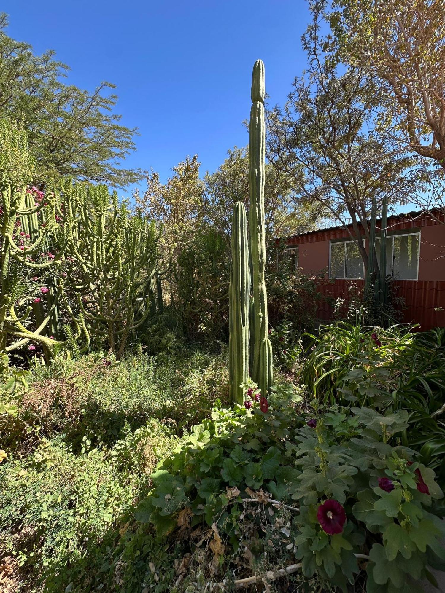 Apartament Turisolcor Atacama San Pedro De Atacama Zewnętrze zdjęcie